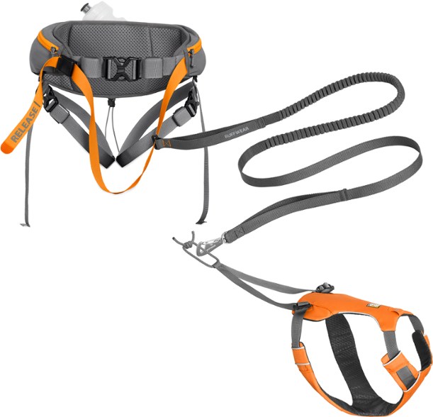 Ruffwear Omnijore harness is an example of commercially available skijor equipment