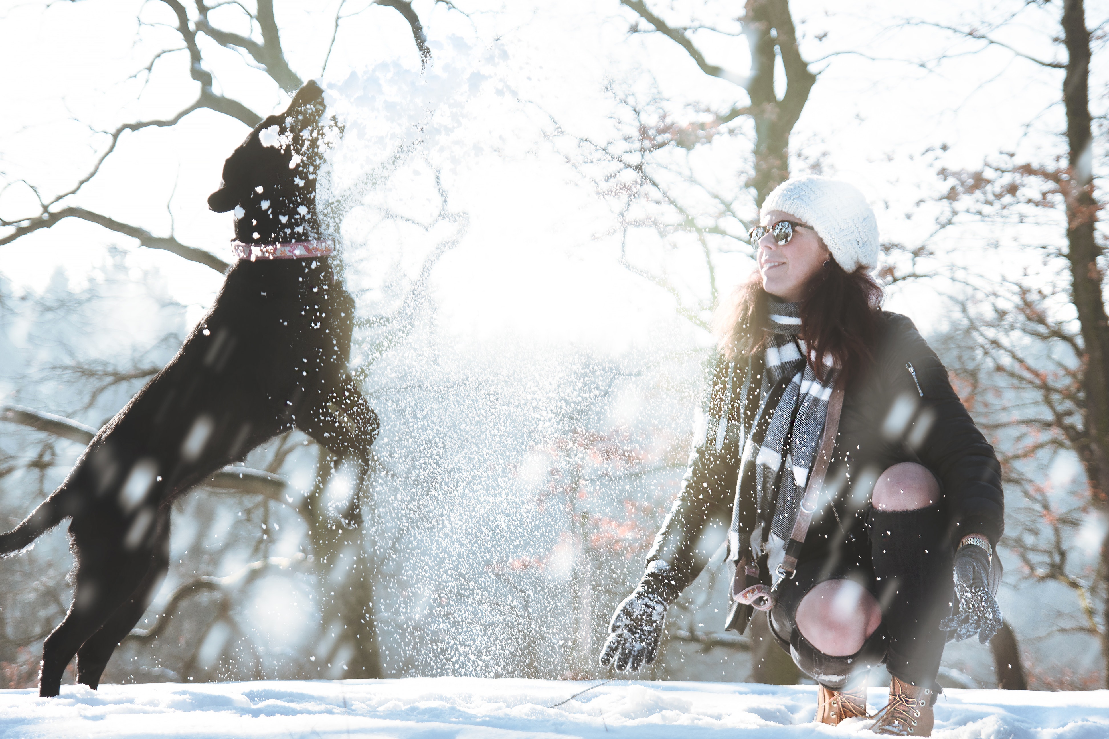A woman throws snowballs for a black dog, which jumps up to catch them. Both woman and dog are having fun in the snow.